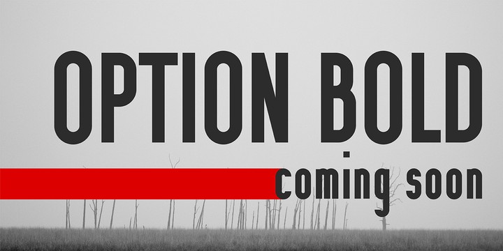 Option